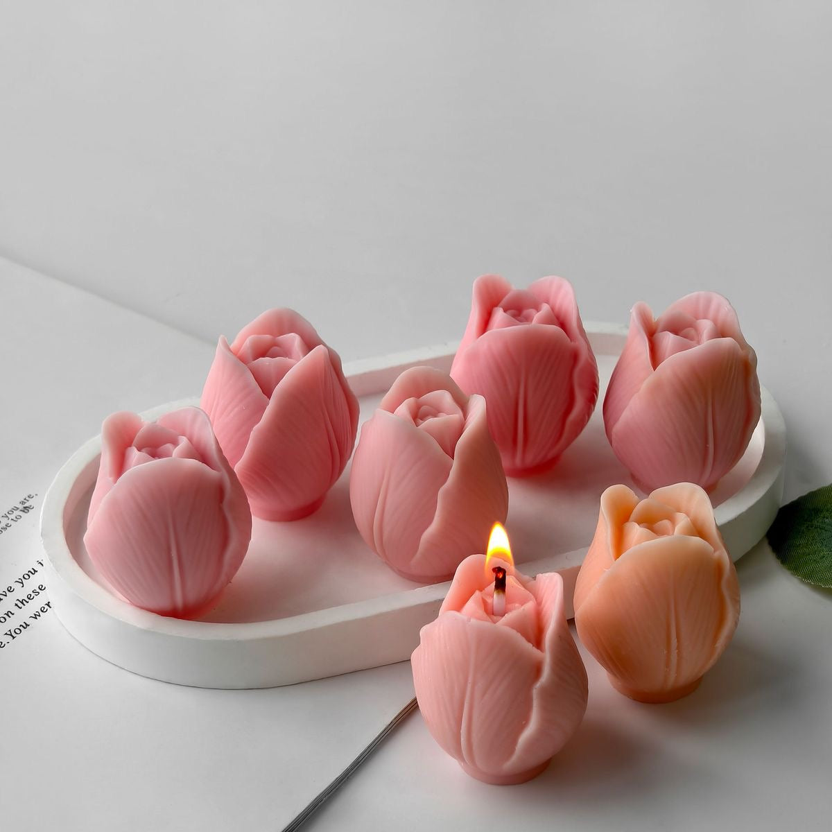 Tulip Kiss